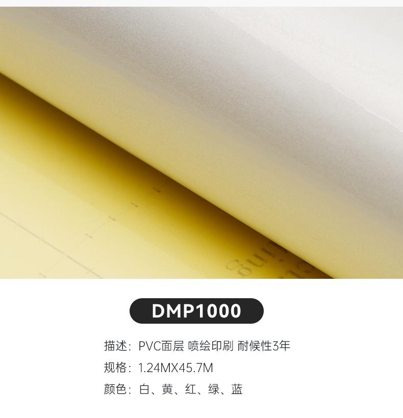 DMP1000_03