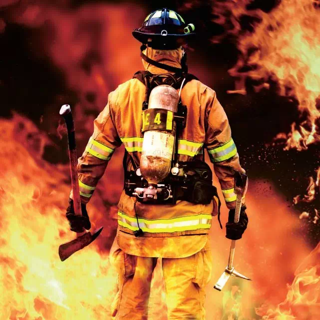 z6com������¼��ڲ�ƷحD1991������ȼ��ʾ��