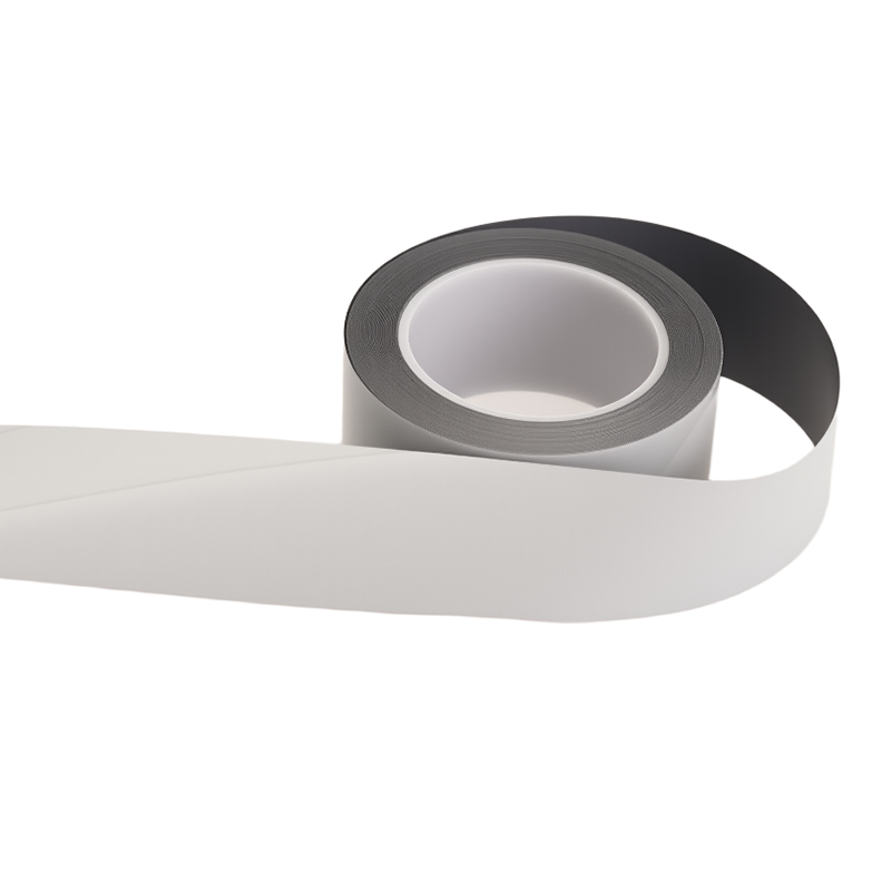 D4101������������Ĥ