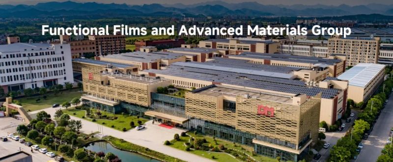 z6com������¼��ڹ�ѧ����������ʽ���� ����ȫ��ս���½ṹ